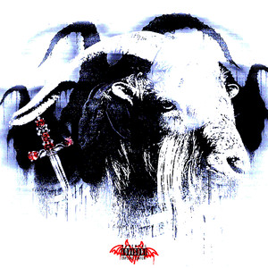 上饶电解电容厂家用小豚营销导航
