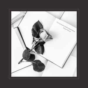 上饶电解电容厂家用小豚营销导航
