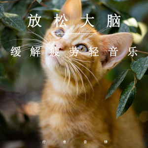 上饶电解电容厂家用小豚营销导航
